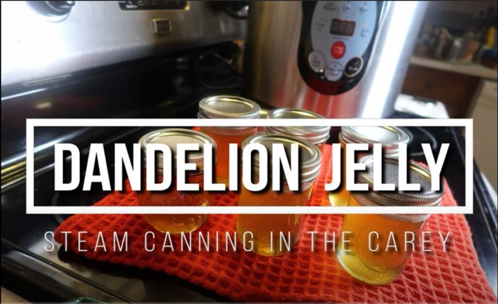 Steam canning in the Carey (2018)  How to steam can Jam 